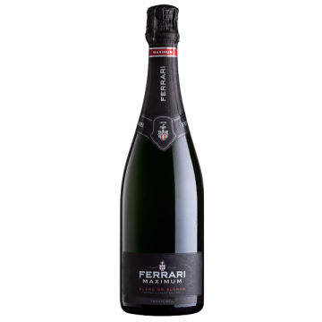 Trentodoc Maximum Brut Blanc De Blancs Ferrari - 75 Cl